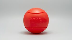 Durable Cat Toys — KONG rubber ball for cats