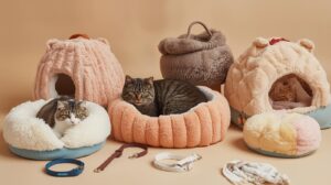 Soft and cozy cat beds — carriers beds collars collection