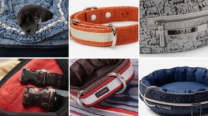 Stylish reflective cat collars — carriers beds collars guide.